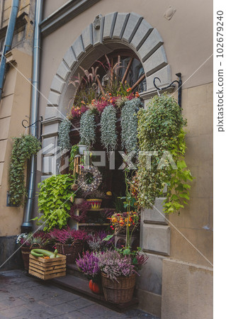 Showcase with colorful flowers and flowerpots at the entrance to the flower shop Showcase with colorful flowers and flowerpots at the entrance to the flower shop 102679240