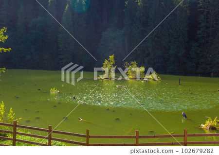 Lacu Rosu, Red Lake in Romania Lacu Rosu, Red Lake in Romania 102679282