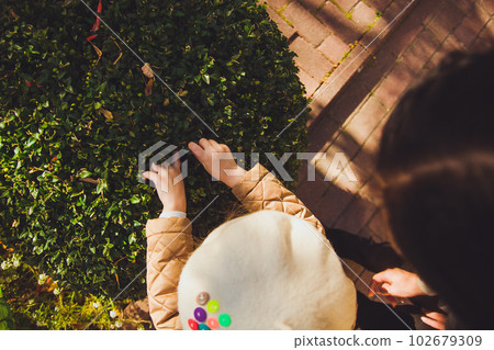 A little girl carefully considering the bush with leaves on sunny autumn day 102679309