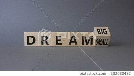 Dream Big vs Small symbol. Wooden cubes with words Dream Small and Dream Big. Beautiful grey background. Business and Dream concept. Copy space 102680482