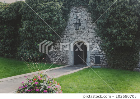 Old brick wall entwined with ivy with wooden door 102680703