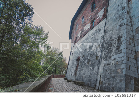 Part of the Wawel royal Castle in Krakow Part of the Wawel royal Castle in Krakow 102681317