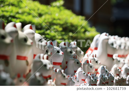 Gotokuji, the famous cat shrine in tokyo, which the beckoning cat is its mascot Gotokuji, the famous cat shrine in tokyo, which the beckoning cat is its mascot 102681739