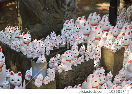 Gotokuji, the famous cat shrine in tokyo, which the beckoning cat is its mascot Gotokuji, the famous cat shrine in tokyo, which the beckoning cat is its mascot 102681744