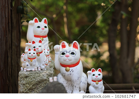 Gotokuji, the famous cat shrine in tokyo, which the beckoning cat is its mascot Gotokuji, the famous cat shrine in tokyo, which the beckoning cat is its mascot 102681747