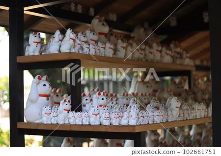 Gotokuji, the famous cat shrine in tokyo, which  the beckoning cat is its mascot 102681751