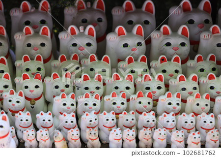 Gotokuji, the famous cat shrine in tokyo, which the beckoning cat is its mascot Gotokuji, the famous cat shrine in tokyo, which the beckoning cat is its mascot 102681762