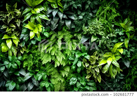 Green wall with plants and leaves 102681777
