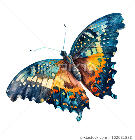 Colorful tropical butterfly isolated on white background. Watercolor illustration 102681888