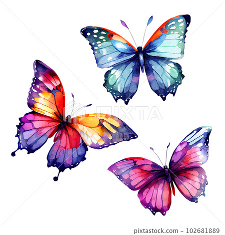 Tropical butterflies isolated on white background. Watercolor illustration 102681889