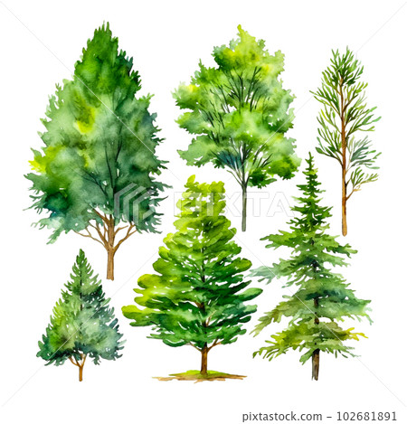 Watercolor trees on white background Watercolor trees on white background 102681891
