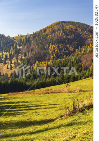 Kopanecke luky in National Park Slovensky Raj, Slovakia 102682347