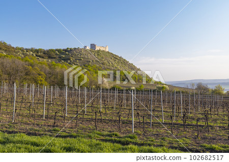 Spring landscape near Pavlov with Devicky ruins in Palava, Southern Moravia, Czech Republic Spring landscape near Pavlov with Devicky ruins in Palava, Southern Moravia, Czech Republic 102682517