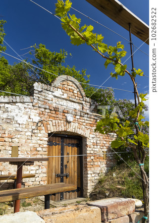 wine cellar, Palava region, South Moravia, Czech Republic 102682522