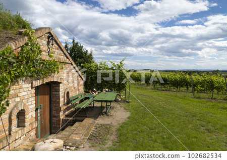 Wine cellars and vineyard in Palava region, Southern Moravia, Czech Republic Wine cellars and vineyard in Palava region, Southern Moravia, Czech Republic 102682534