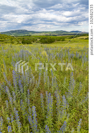 Spring landscape in Palava near Dolni Dunajovice, Southern Moravia, Czech Republic 102682535
