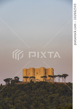 Castel del Monte, castle built in an octagonal shape by the Holy Roman Emperor Frederick II in the 13th century in Apulia region, Italy 102682543