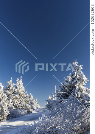 Winter landscape near Velka Destna, Orlicke mountains, Eastern Bohemia, Czech Republic Winter landscape near Velka Destna, Orlicke mountains, Eastern Bohemia, Czech Republic 102682608