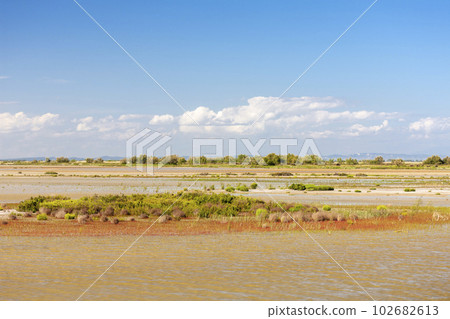 National park Camargue, Provence, France National park Camargue, Provence, France 102682613
