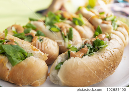 Homemade hot dogs on a picnic 102685400