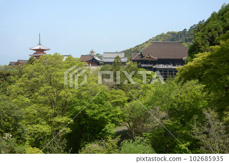 Kiyomizu-dera in the fresh greenery, looking at the stage of the main hall from Koyasuto, Higashiyama-ku, Kyoto 102685935
