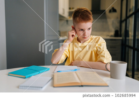 Portrait of concentrated little pupil boy sitting at table, pensive looking away, holding pen, taking notes, doing homework alone at home. Smart schoolboy with freckles studying, reading textbook, 102685994