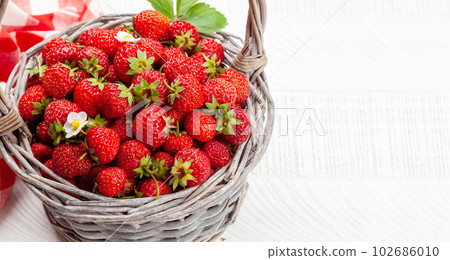 Ripe strawberries in basket 102686010