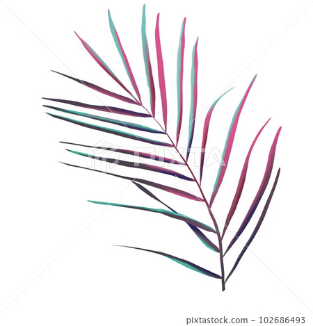 Set of palm fronds. colorful watercolor illustrations of tropical leaves Set of palm fronds. colorful watercolor illustrations of tropical leaves 102686493
