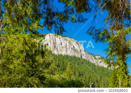 View of the mountain peak below the forest 102688602