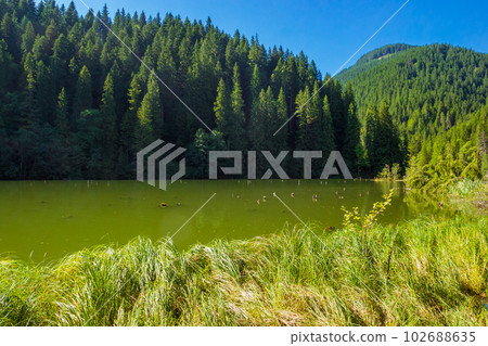 Lacu Rosu, Red Lake in Romania 102688635