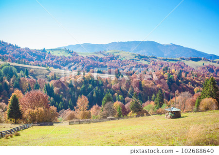 Autumn landscape in the mountains with meadow and colorful trees on backdrop Autumn landscape in the mountains with meadow and colorful trees on backdrop 102688640