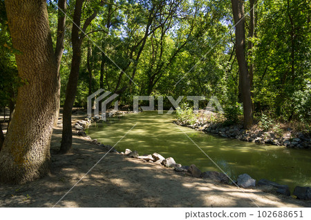 Creek in the Natural reserve Askania Nova, Ukraine 102688651
