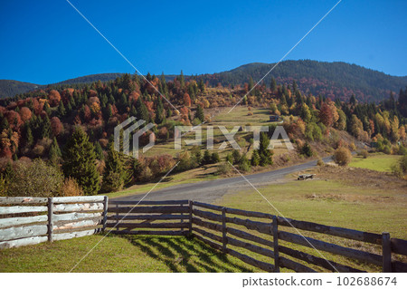 Autumn landscape in the mountains with meadow and colorful trees on backdrop Autumn landscape in the mountains with meadow and colorful trees on backdrop 102688674