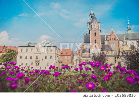 Royal Archcathedral Basilica of St. Stanislaus and Wenceslaus on Wawel Hil 102689836