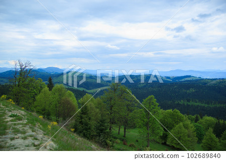 Beautiful nature of the mountains and hill with green trees in summer cloudy day 102689840