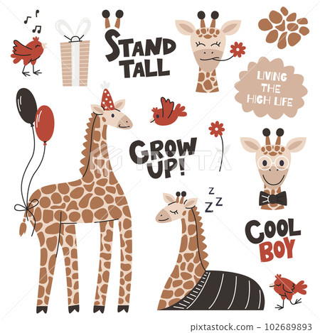 Giraffe birthday boy with balloons and b-day hat. African wild animal collection. Funny red bird and giraffe characters. Cute nursery mascot set. Hand drawn flat vector illustration isolated on white 102689893