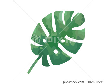 受龜背竹葉啟發的插圖 102690595