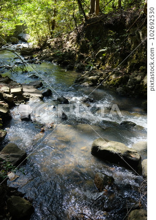 The creek in the city park The creek in the city park 102692530