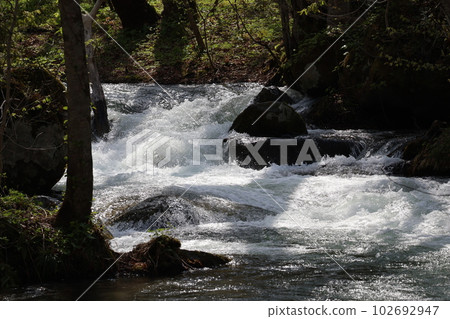 森林中的山溪景觀，白色泡沫湍流的河流和樹木和植物 102692947
