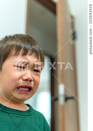 A child in an unpleasant period, a boy who cries aloud A child in an unpleasant period, a boy who cries aloud 102693429