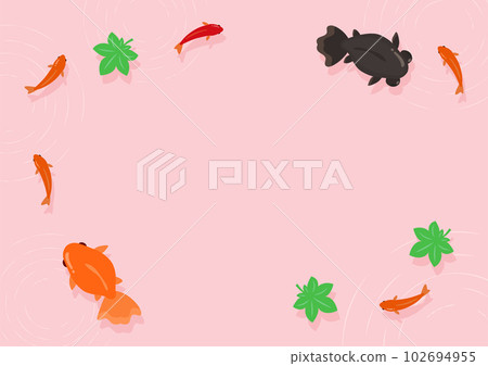 Illustration of red goldfish and Japanese gold and black eye gold, background pink Illustration of red goldfish and Japanese gold and black eye gold, background pink 102694955