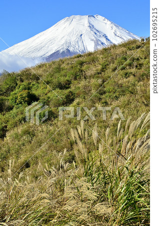 多子地塊的大平山積雪覆蓋富士山 102695215