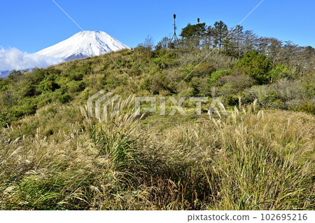 多子地塊的大平山積雪覆蓋富士山 102695216