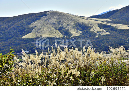 Overlooking the pampas grass and Teppo Kinokashira (Mt. Myojin) on the summit of Mt. Ohira in the Mt. 102695251