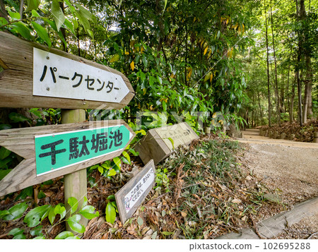 Matsudo City, Chiba Prefecture 21st century forest and promenades and information signs in the square Matsudo City, Chiba Prefecture 21st century forest and promenades and information signs in the square 102695288