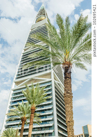 Modern buildings in the Al Olaya downtownt district with palms in the foreground, Al Riyadh, Saudi Arabia 102695421