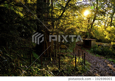 Mt. Ishiwari in the Doshi Massif The morning sun illuminates the Katsura sacred tree of Ishiwari Shrine Mt. Ishiwari in the Doshi Massif The morning sun illuminates the Katsura sacred tree of Ishiwari Shrine 102696001