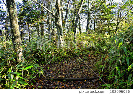 Doshi地塊的Ishiwari山徒步旅行路線，Ichinosuna no Sawa no Kashira Summit 102696026