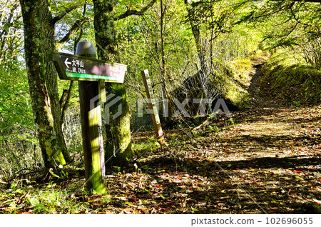 大平山登山路線土子山登山路平尾山 大平山登山路線土子山登山路平尾山 102696055