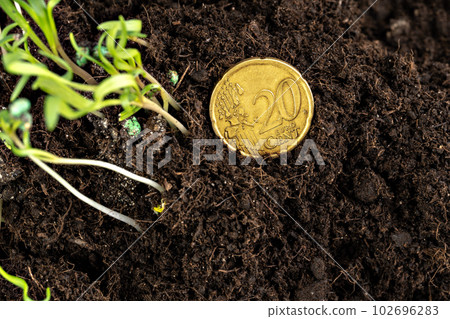 Euro coins and plant sprouts, financial growth concept Euro coins and plant sprouts, financial growth concept 102696283